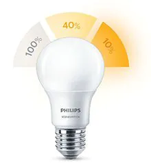 Philips SceneSwitch LED bulb